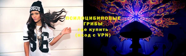 экстази Алексин