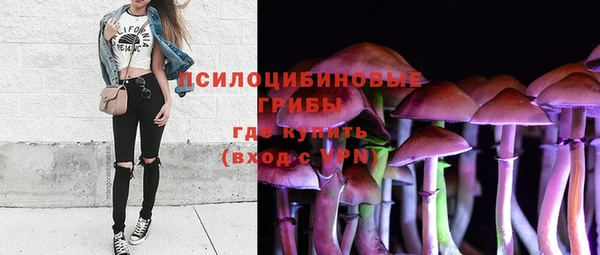 герыч Алзамай