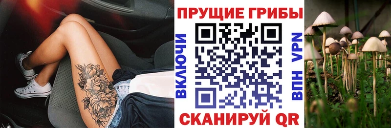 мориарти формула  Кашин  Псилоцибиновые грибы Psilocybe 